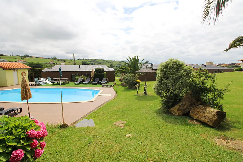 Piscina con tumbonas y palmeras